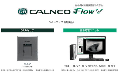 x400250.jpg